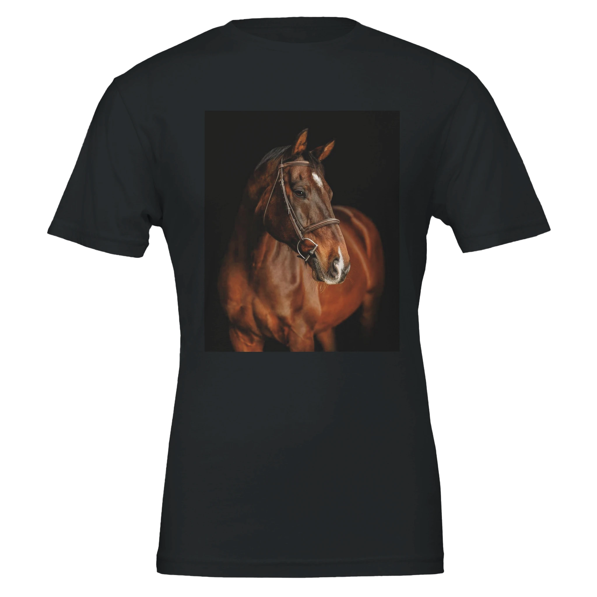 4ba6270f-494a-4a1b-a66c-482b934fcd73