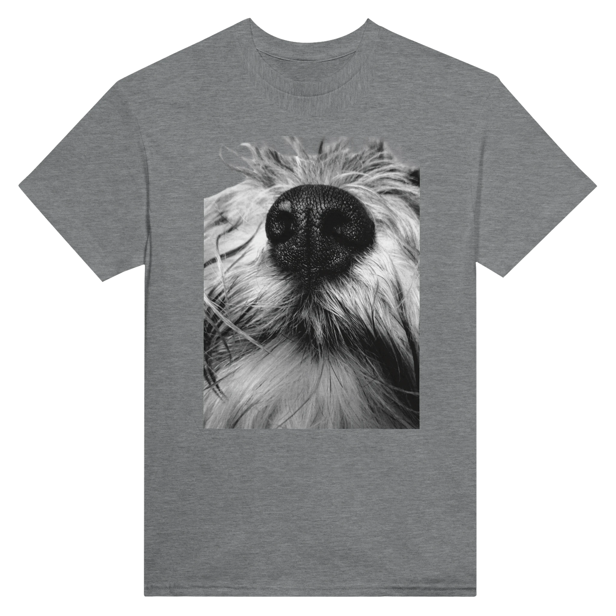 602348c8-b808-4a2d-b34f-e2ea0e88d577