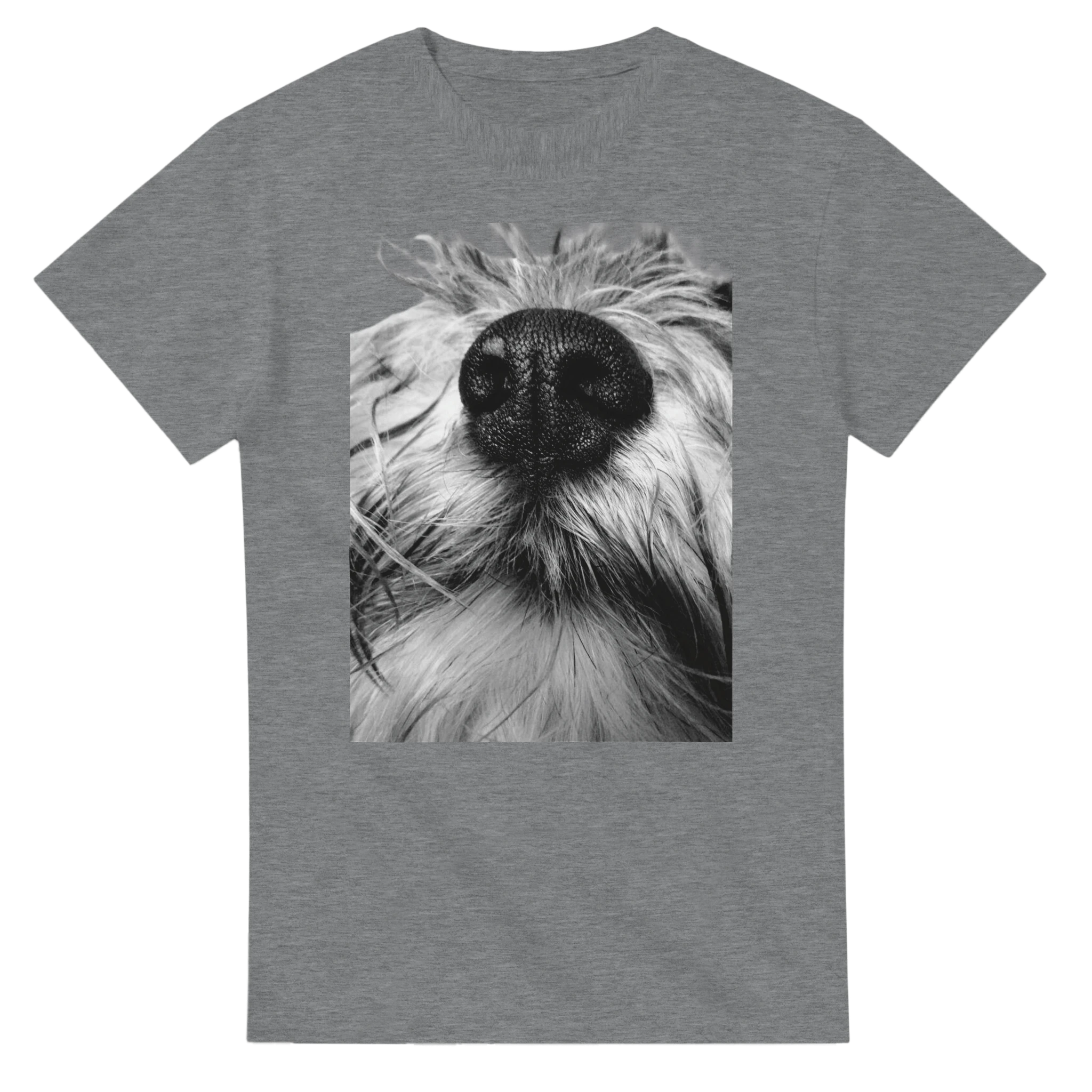 6b2d83f2-aaf5-47cf-8d82-ed8fc9eb238e