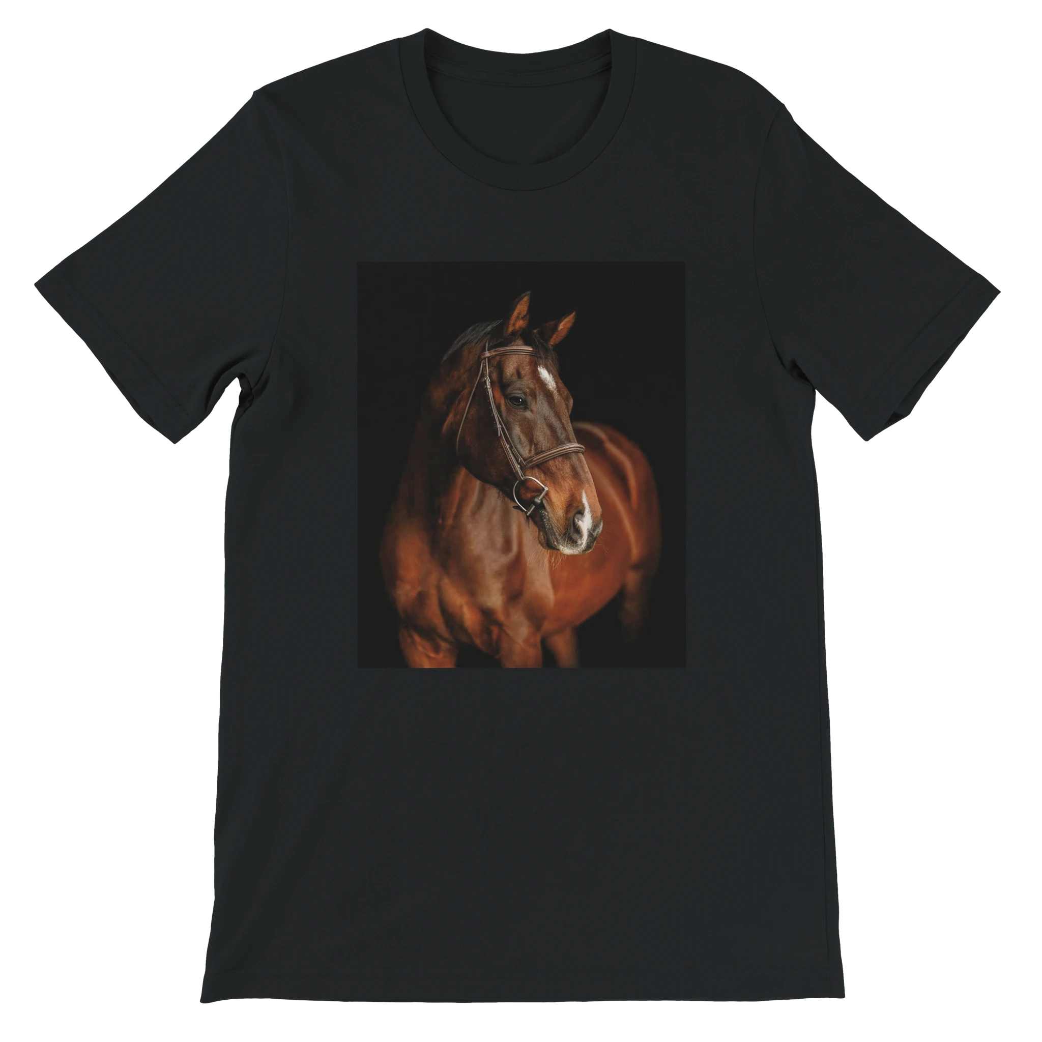 8440ff3f-a910-4d80-b171-b65d727c1222