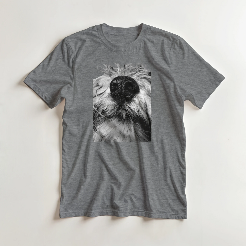 c807b3a6-2140-4859-8f12-9a8a84004f60