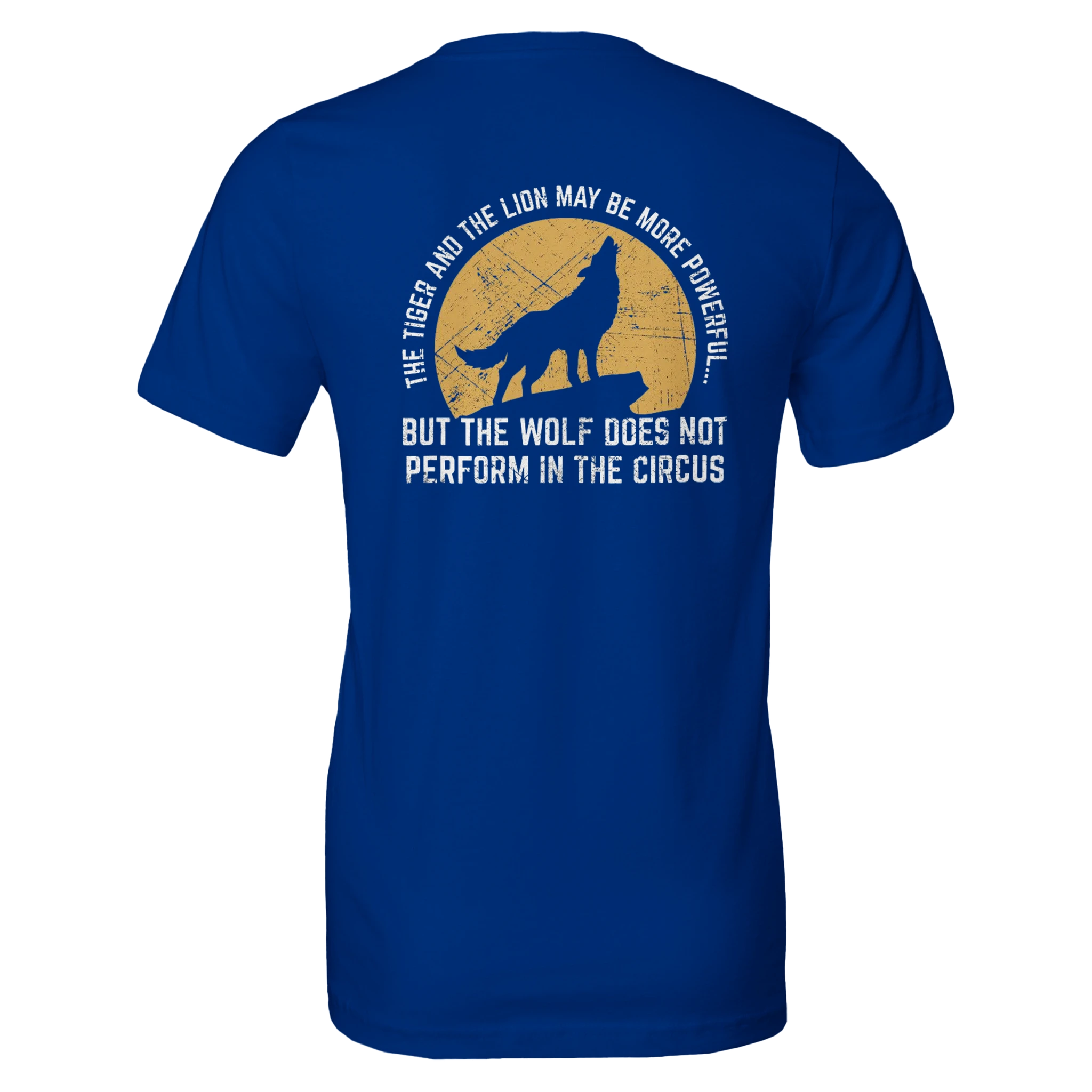 d943d55c-4b07-4617-b954-b4bed847fdb4